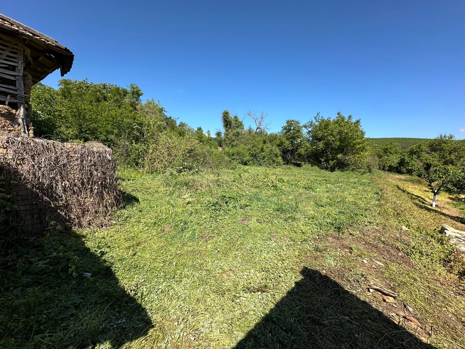 Gourd House – Voditsa - thumbnail 2