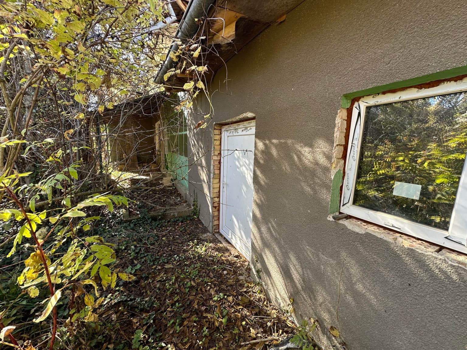 Shrubbery House – Tsar Asen in Tsar Asen